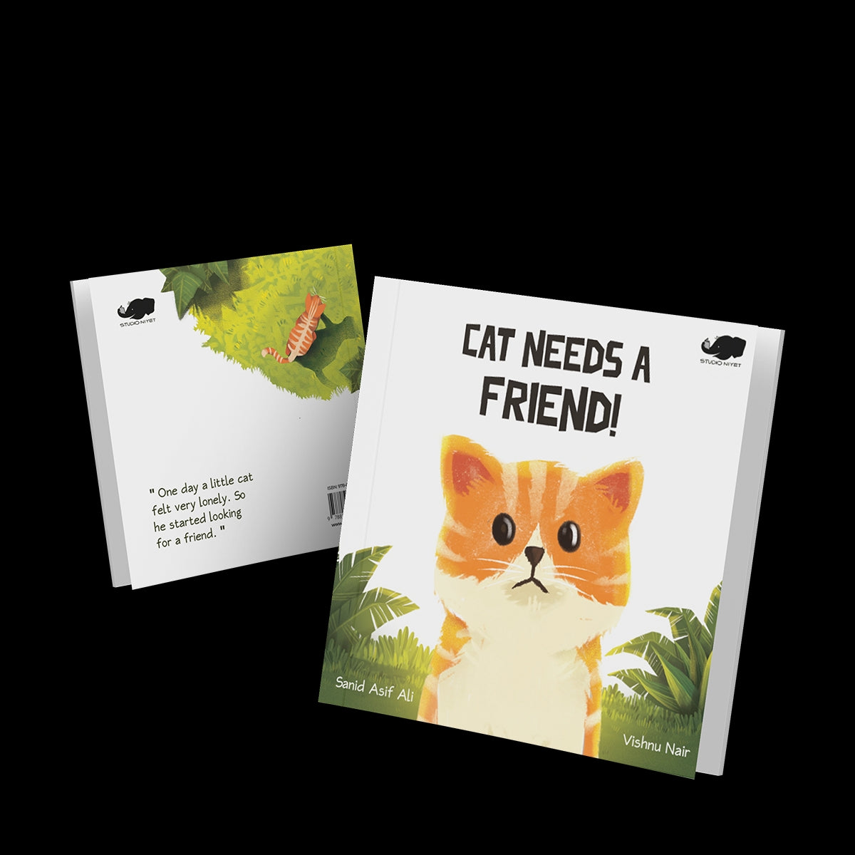 Cat Needs a Friend!