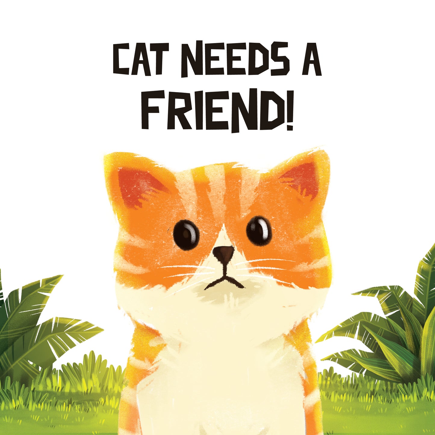 Cat Needs a Friend!